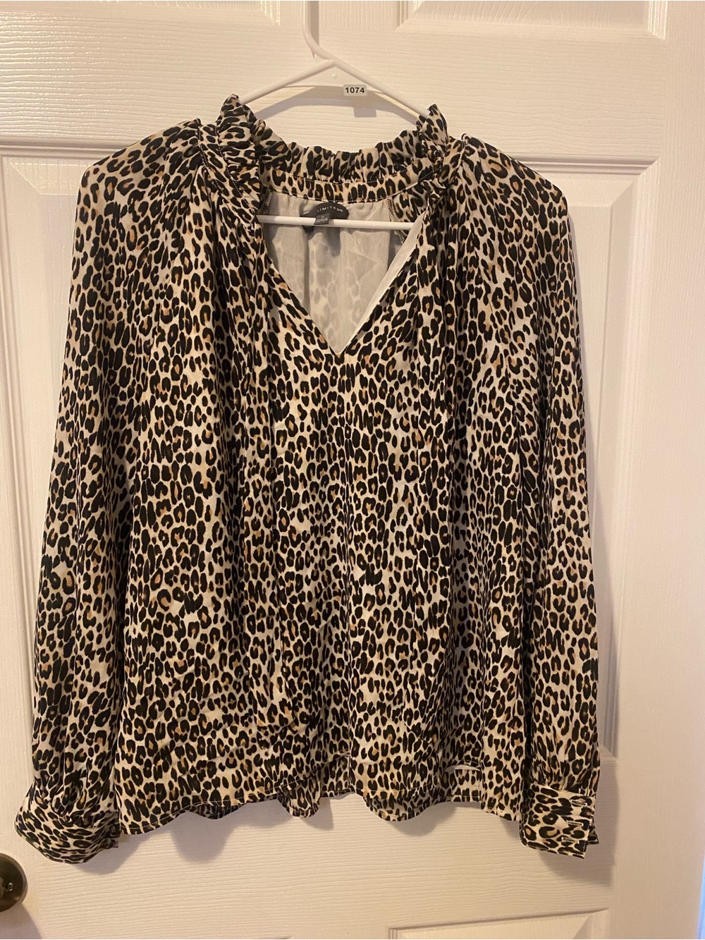 The Limited Leopard Print V-Neck Blouse in Tan and Black